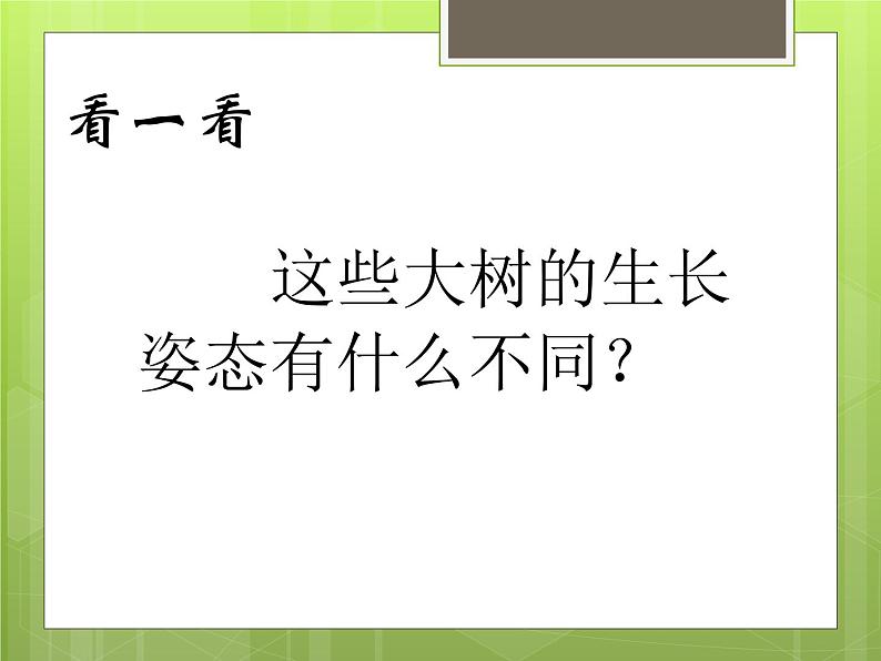 人美版二年级美术上册 15.大树的故事  课件 教案 素材02