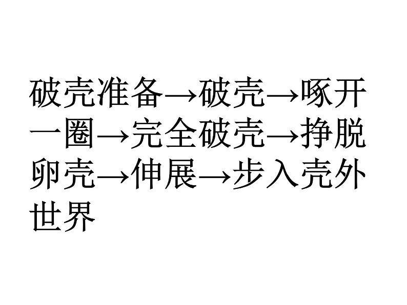 人美版一年级美术下册 3.出壳了  课件 教案 素材05