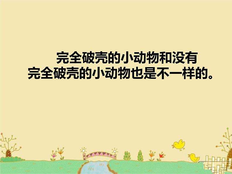 人美版一年级美术下册 3.出壳了  课件 教案 素材06