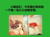 人美版一年級(jí)美術(shù)下冊(cè) 3.出殼了  課件 教案 素材