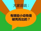 人美版一年級(jí)美術(shù)下冊(cè) 3.出殼了  課件 教案 素材