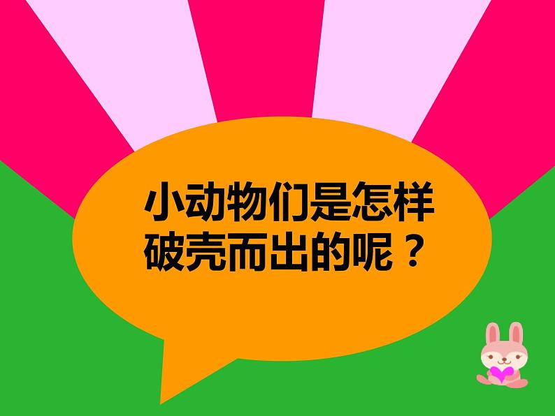 人美版一年级美术下册 3.出壳了  课件 教案 素材08