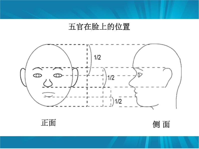 《画自己》课件1第3页