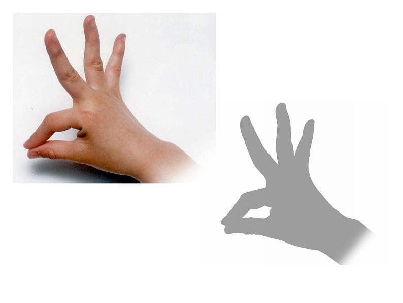 《手形的联想》课件3第3页