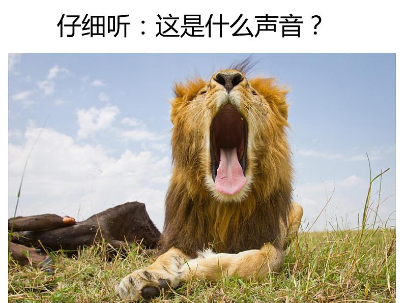 《狮子大王》课件2第3页