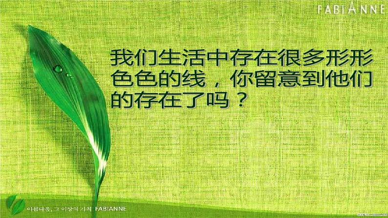 四年级下册美术课件-第14课  线条的魅力丨浙美版（2012）（28张PPT）04