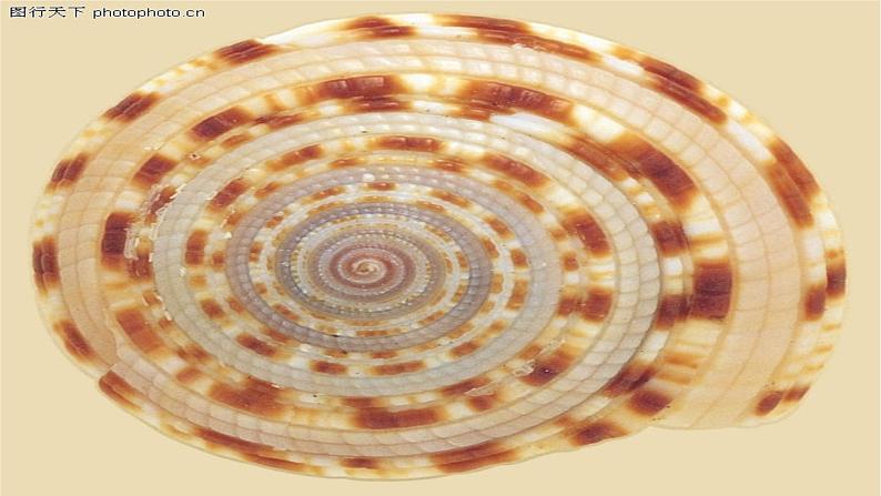 四年级下册美术课件-第14课  线条的魅力丨浙美版（2012）（28张PPT）07