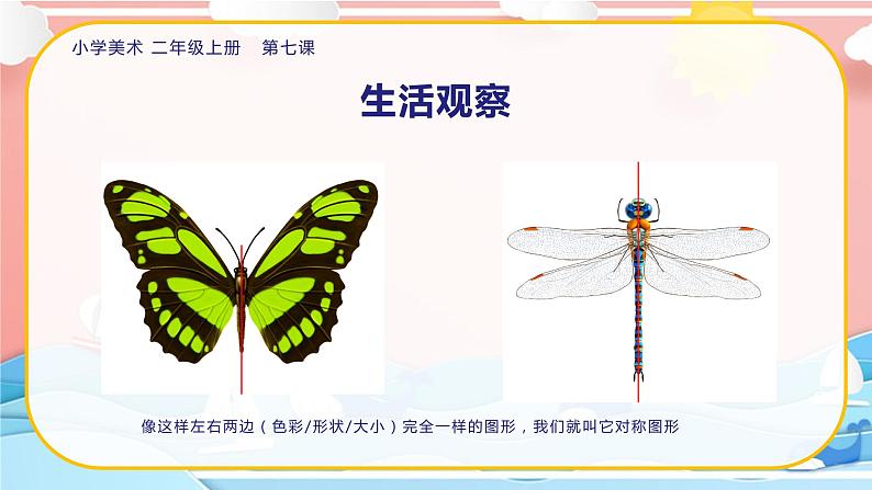 美术人教版二年级上册 第7课《对折剪纸》课件+教案06
