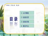 美術(shù)人教版二年級(jí)上冊(cè) 第9課《蜻蜓飛飛》課件+教案