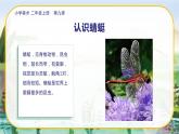 美術(shù)人教版二年級(jí)上冊(cè) 第9課《蜻蜓飛飛》課件+教案