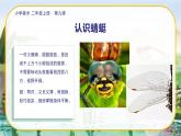 美術(shù)人教版二年級(jí)上冊(cè) 第9課《蜻蜓飛飛》課件+教案