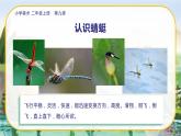 美術(shù)人教版二年級(jí)上冊(cè) 第9課《蜻蜓飛飛》課件+教案