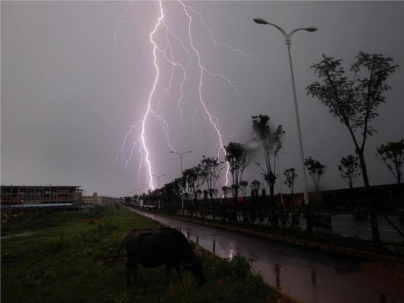 人美版二年级美术上册 6.下雨了  课件 +教案 +素材03