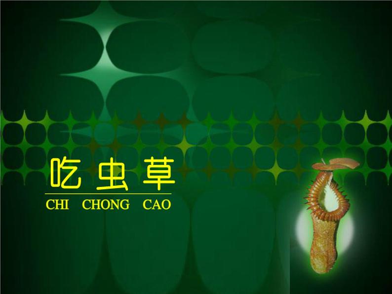 人美版二年级美术下册 2.吃虫草  课件+ 教案 +素材01