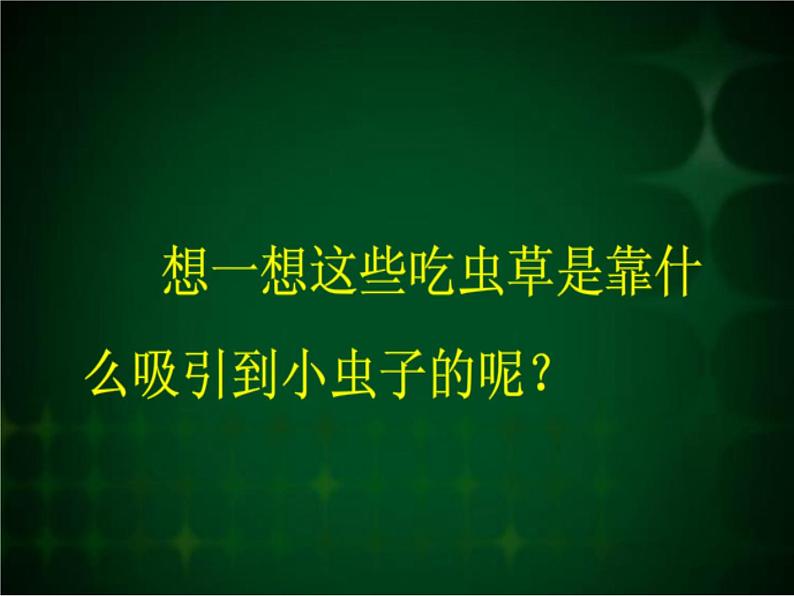 人美版二年级美术下册 2.吃虫草  课件+ 教案 +素材03