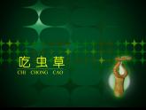 人美版二年級(jí)美術(shù)下冊(cè) 2.吃蟲(chóng)草  課件+ 教案 +素材