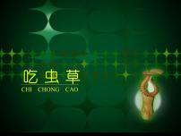 小学美术人美版二年级下册2.吃虫草课文课件ppt