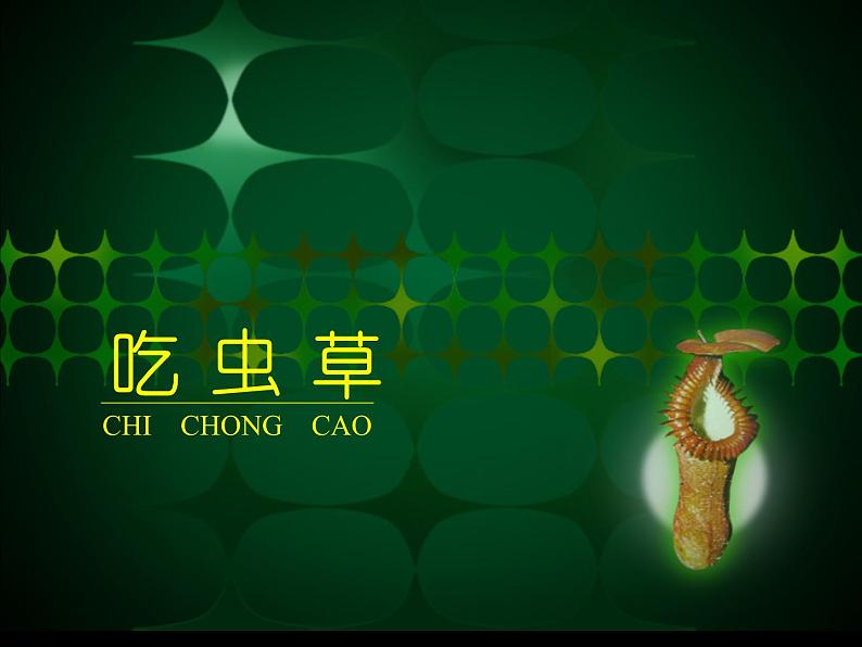 人美版二年级美术下册 2.吃虫草  课件+ 教案 +素材01