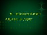 人美版二年級(jí)美術(shù)下冊(cè) 2.吃蟲(chóng)草  課件+ 教案 +素材