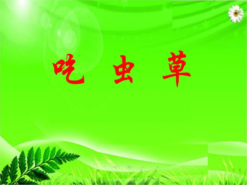 人美版二年级美术下册 2.吃虫草  课件+ 教案 +素材01