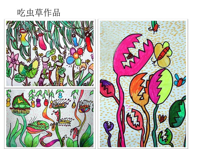 人美版二年级美术下册 2.吃虫草  课件+ 教案 +素材01