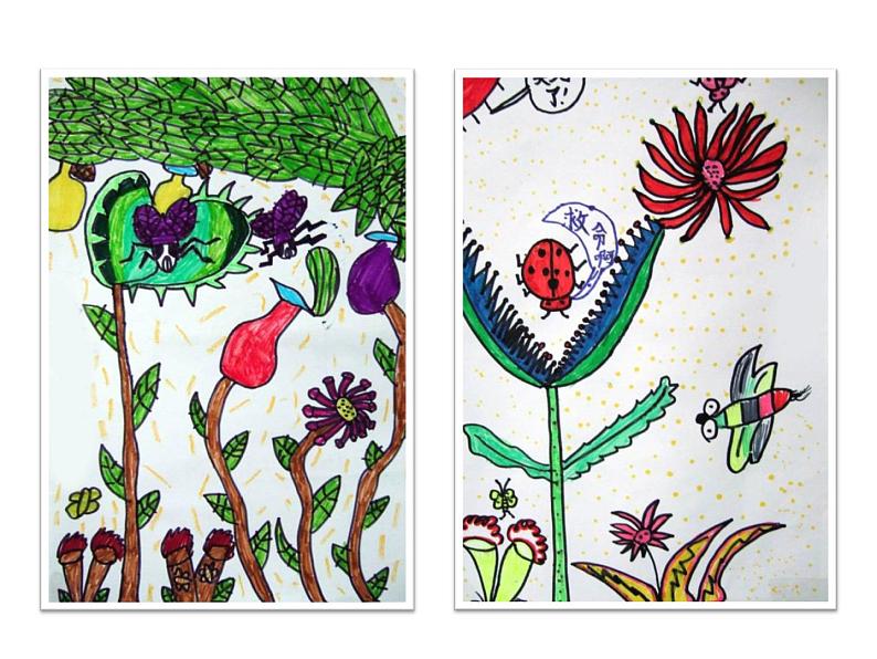 人美版二年级美术下册 2.吃虫草  课件+ 教案 +素材03