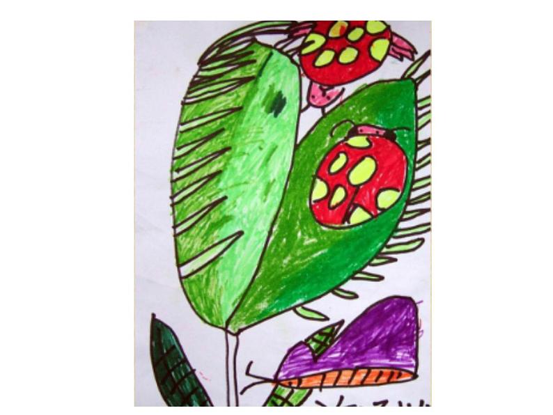 人美版二年级美术下册 2.吃虫草  课件+ 教案 +素材05