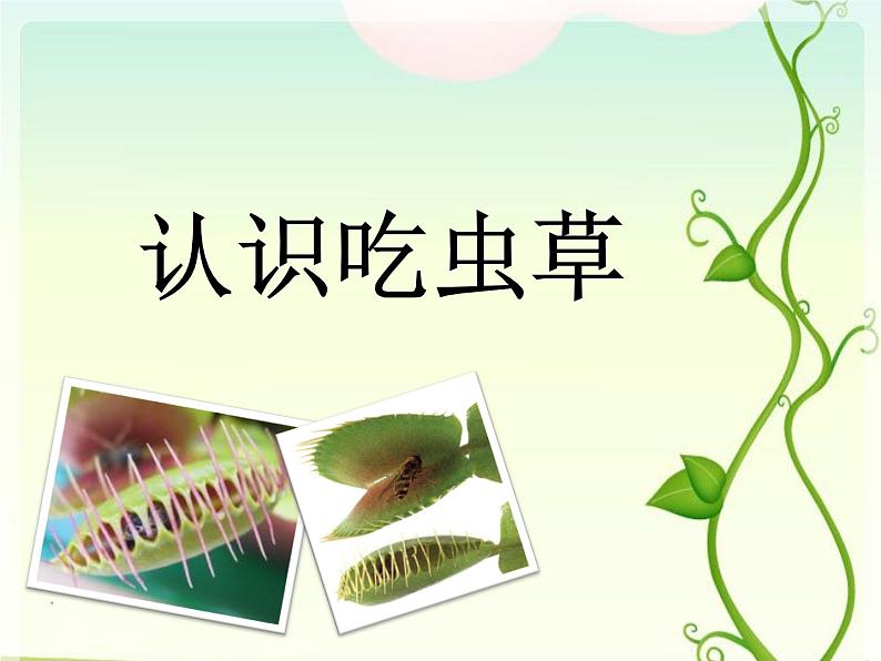 人美版二年级美术下册 2.吃虫草  课件+ 教案 +素材01