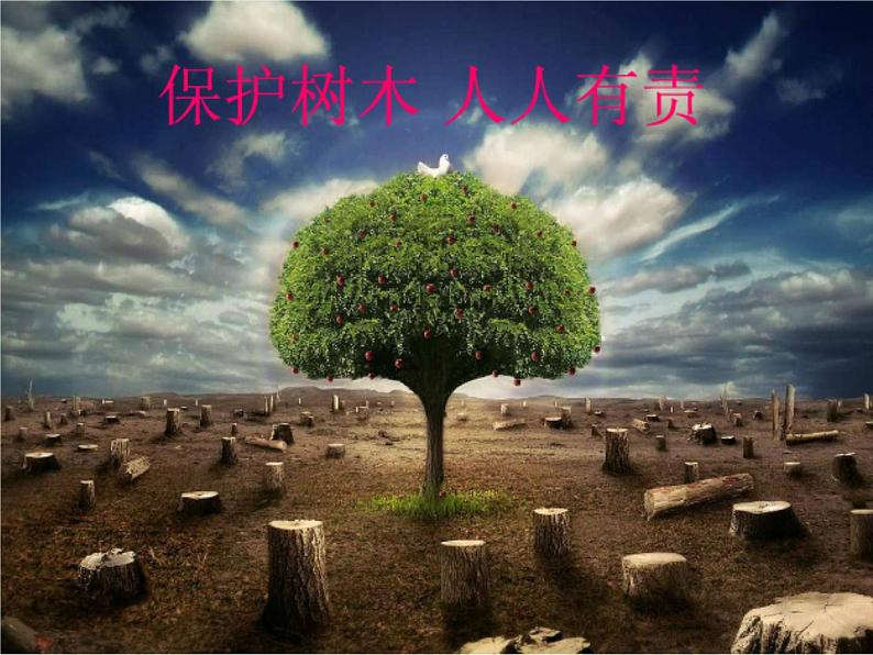 人美版二年级美术下册 3.认识身边的树  课件+ 教案+ 素材01