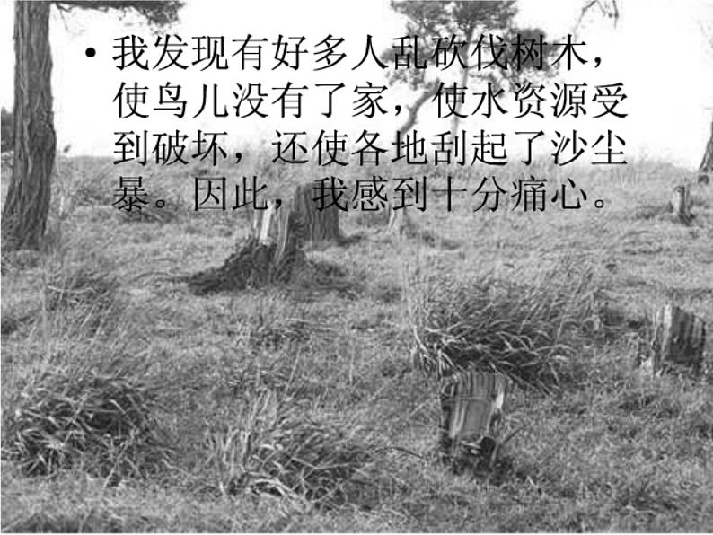 人美版二年级美术下册 3.认识身边的树  课件+ 教案+ 素材02