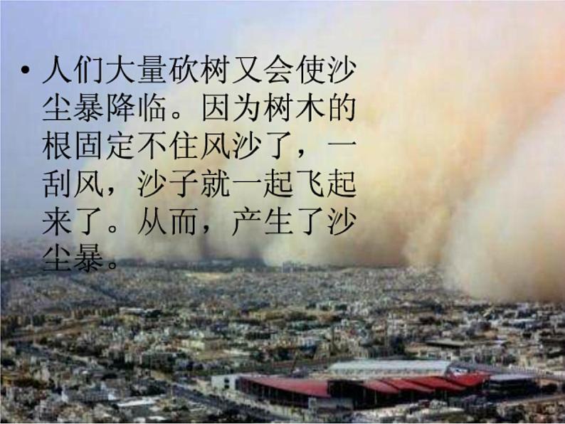 人美版二年级美术下册 3.认识身边的树  课件+ 教案+ 素材05