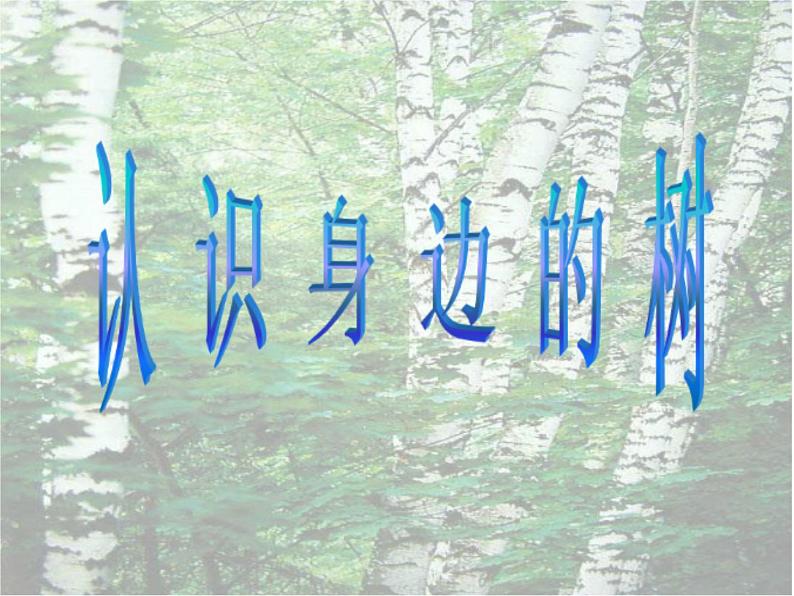 人美版二年级美术下册 3.认识身边的树  课件+ 教案+ 素材01