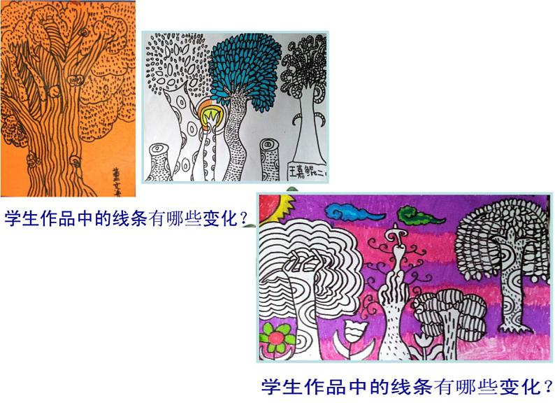 人美版二年级美术下册 3.认识身边的树  课件+ 教案+ 素材07