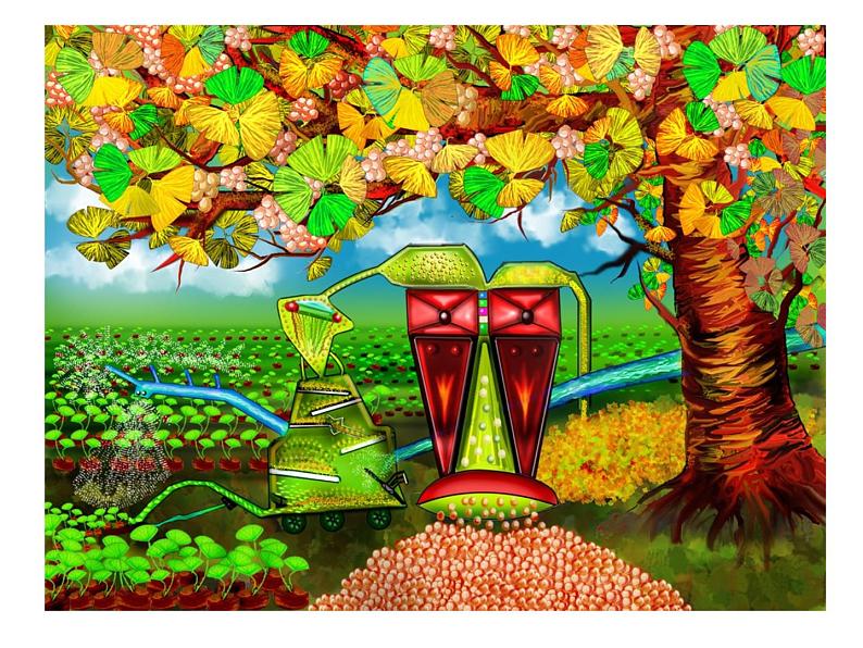 人美版二年级美术下册 3.认识身边的树  课件+ 教案+ 素材02