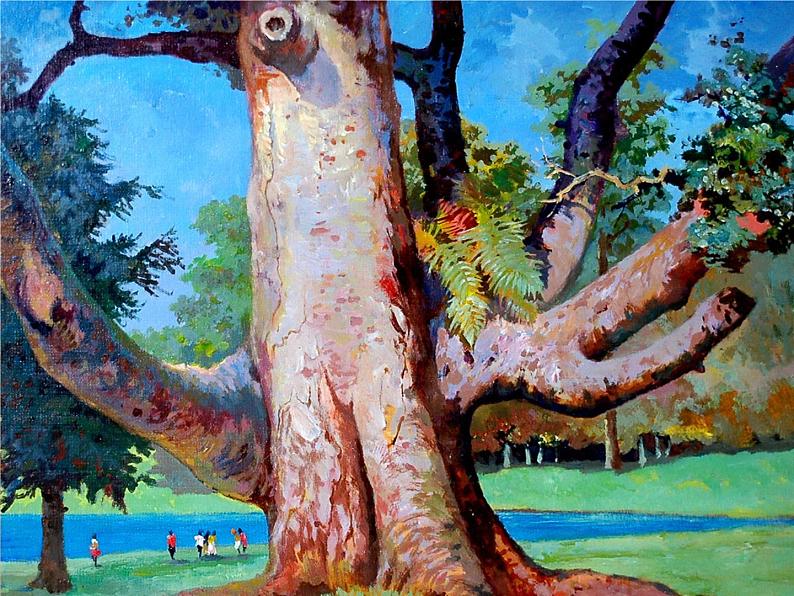 人美版二年级美术下册 3.认识身边的树  课件+ 教案+ 素材05