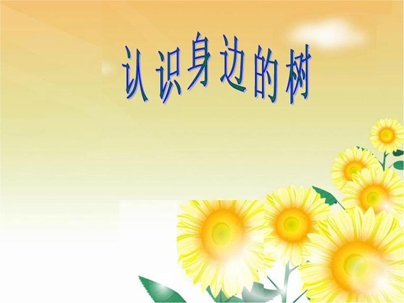 人美版二年级美术下册 3.认识身边的树  课件+ 教案+ 素材01