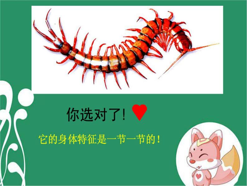 《节节虫》课件1第3页