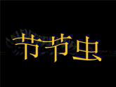 人美版二年級(jí)美術(shù)下冊(cè) 6.節(jié)節(jié)蟲  課件+ 教案+ 素材