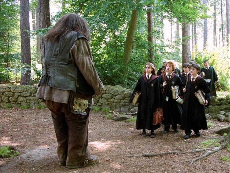 我们见到的巨人第2页