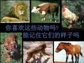 人美版二年級(jí)美術(shù)下冊(cè) 11.藝術(shù)作品中的動(dòng)物  課件+ 教案 +素材