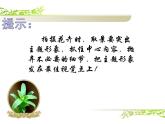 人美版六年级美术上册 11.镜头里的花  课件+ 教案 +素材