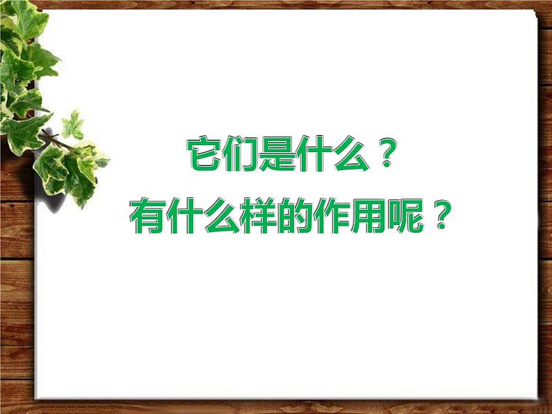 人美版一年级美术上册 1. 让大家认识我  课件 +教案 +素材03