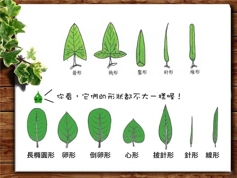 人美版一年级美术上册 1. 让大家认识我  课件 +教案 +素材03