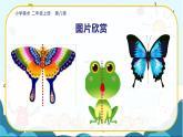 美術(shù)人教版二年級(jí)上冊(cè) 第8課《 對(duì)印的圖形》課件+教案