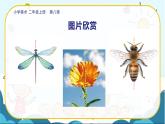 美術(shù)人教版二年級(jí)上冊(cè) 第8課《 對(duì)印的圖形》課件+教案