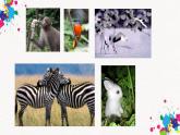 12《可愛的動物》【課件】