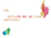 11《奇妙的爬行》【課件】
