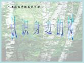 人美版二年級美術(shù)下冊 3.認識身邊的樹 課件 (28張PPT)
