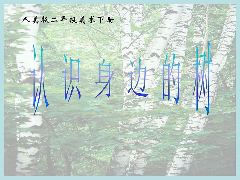 第3课《认识身边的树》（课件） 美术二年级下册第1页