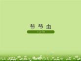 人美版小學(xué)二年級(jí)美術(shù)下冊(cè)《節(jié)節(jié)蟲》課件（40ppt）